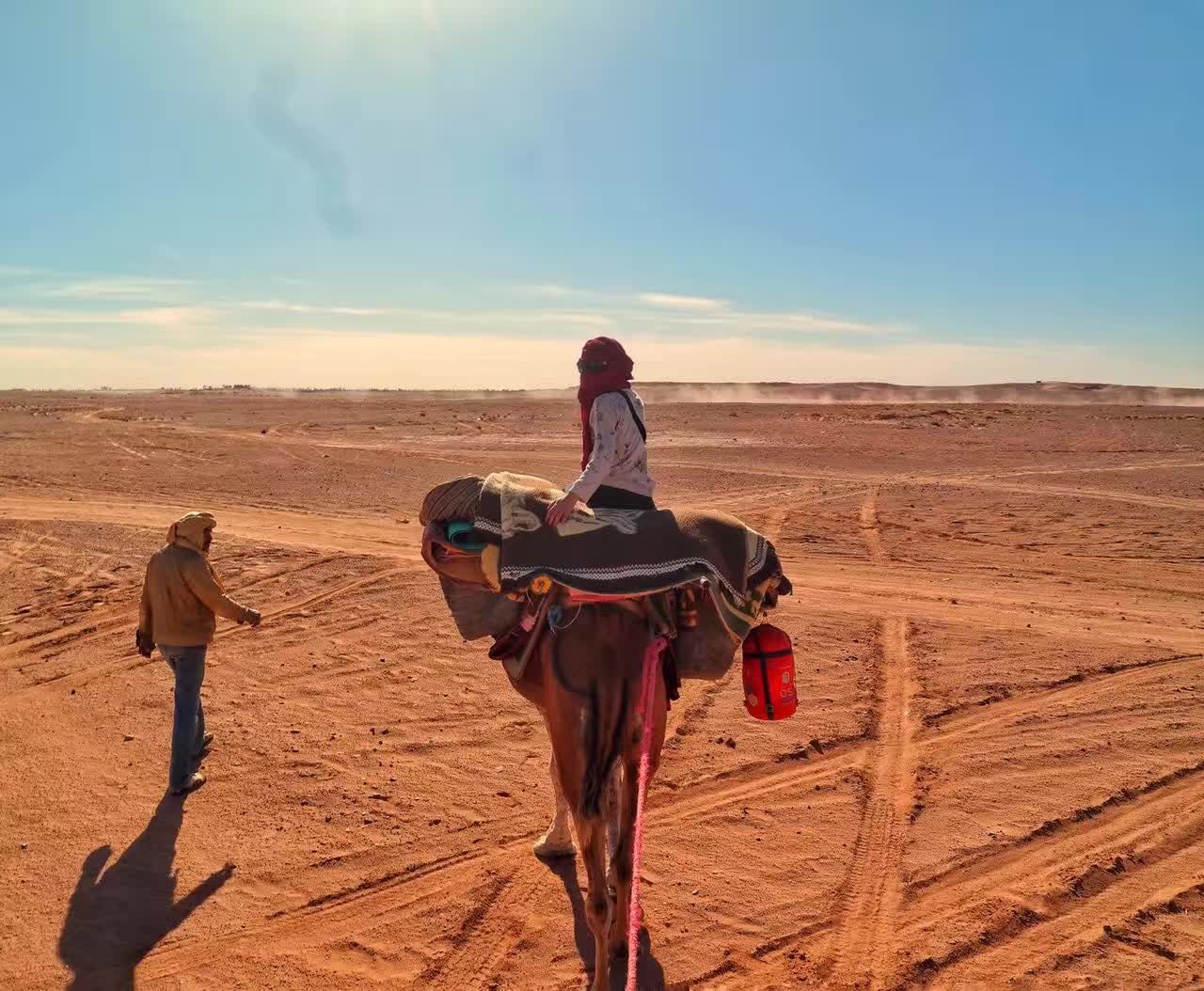 Sophia in the desert