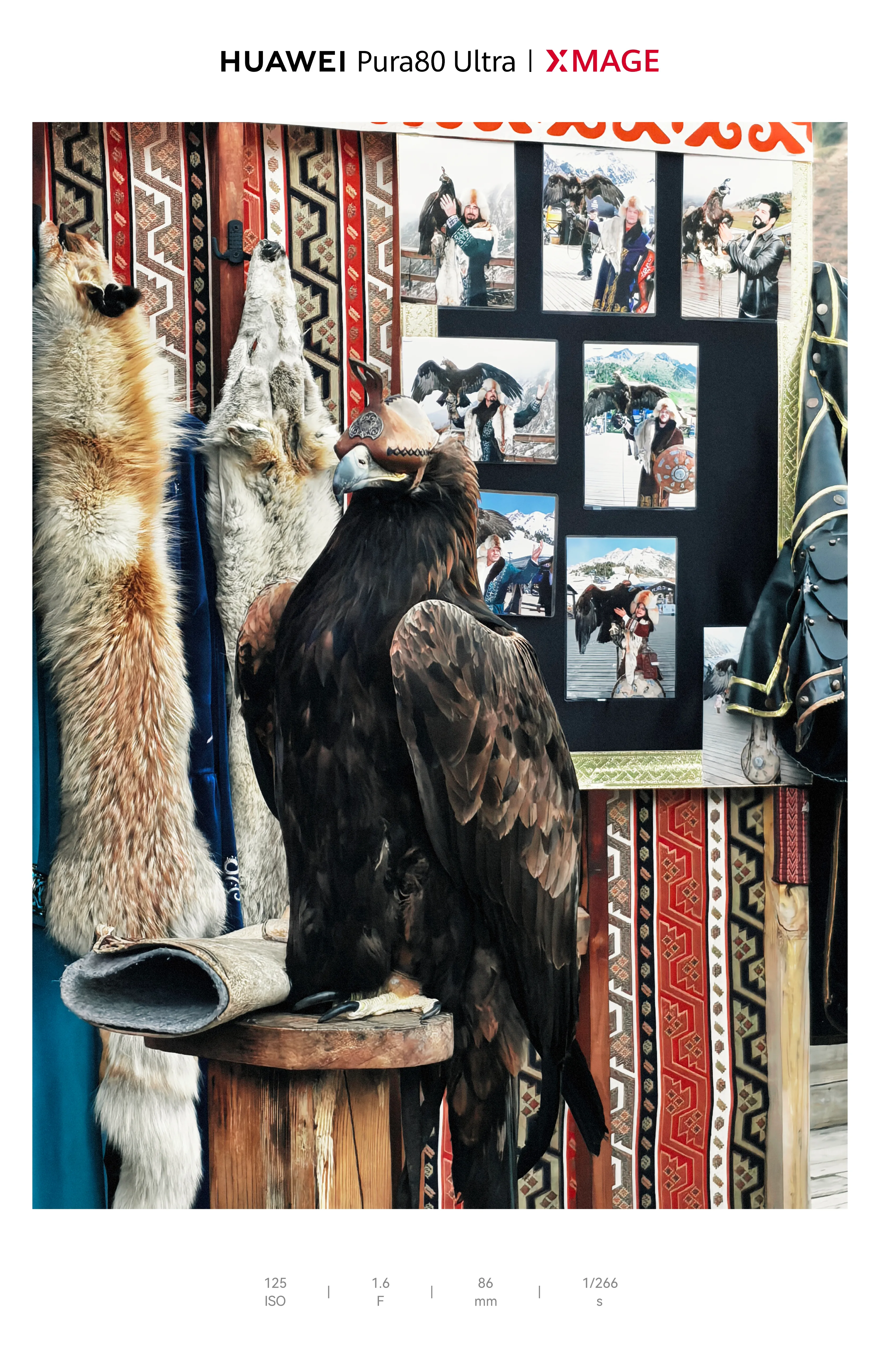 Golden Eagle Moment